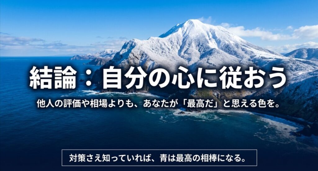 他人の評価や相場より自分の「好き」を優先し、適切な対策で青を最高の相棒にするという結論をまとめたスライド