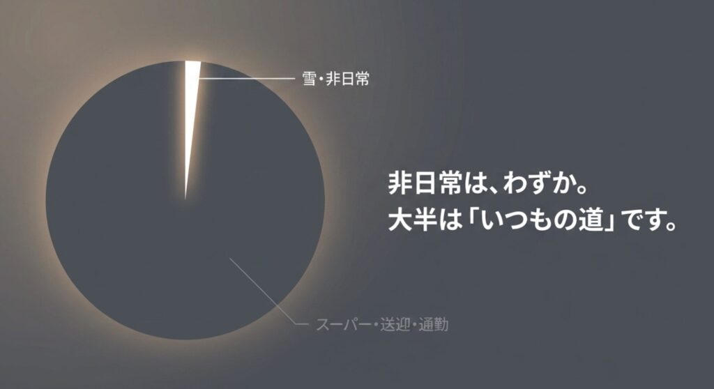 非日常はわずかで、大半はスーパー・送迎・通勤など日常の道であることを円グラフ風に示したスライド。